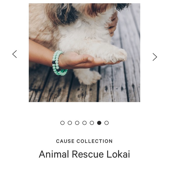 Animal Rescue Lokai - Picture 9 of 10